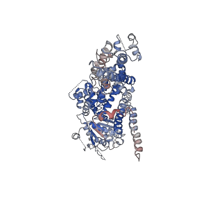 0631_6o6a_D_v1-3
Structure of the TRPM8 cold receptor by single particle electron cryo-microscopy, ligand-free state