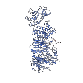 0632_6o6b_A_v1-1
Rotavirus A-VP3 (RVA-VP3)