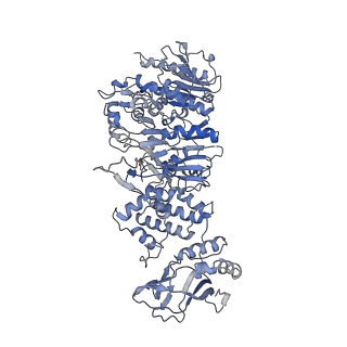 0632_6o6b_B_v1-1
Rotavirus A-VP3 (RVA-VP3)