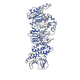 0632_6o6b_C_v1-1
Rotavirus A-VP3 (RVA-VP3)