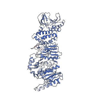 0632_6o6b_D_v1-1
Rotavirus A-VP3 (RVA-VP3)