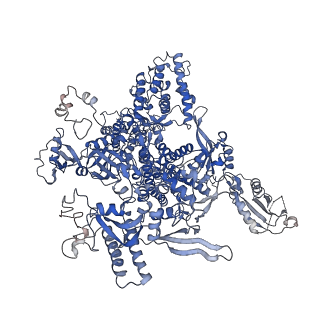 0633_6o6c_A_v1-2
RNA polymerase II elongation complex arrested at a CPD lesion