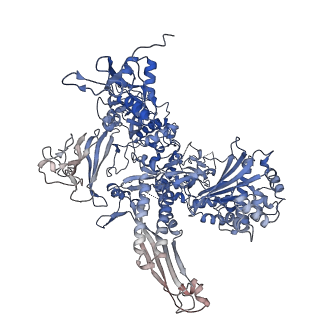0633_6o6c_B_v1-2
RNA polymerase II elongation complex arrested at a CPD lesion