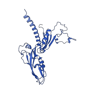 0633_6o6c_C_v1-2
RNA polymerase II elongation complex arrested at a CPD lesion