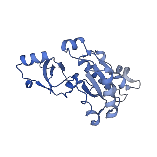 0633_6o6c_D_v1-2
RNA polymerase II elongation complex arrested at a CPD lesion
