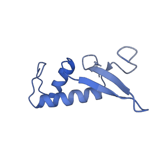 0633_6o6c_E_v1-2
RNA polymerase II elongation complex arrested at a CPD lesion