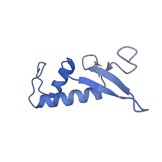 0633_6o6c_E_v1-3
RNA polymerase II elongation complex arrested at a CPD lesion