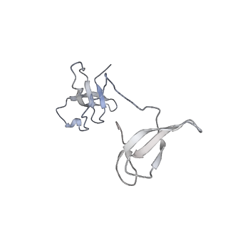 0633_6o6c_G_v1-2
RNA polymerase II elongation complex arrested at a CPD lesion