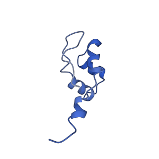 0633_6o6c_H_v1-2
RNA polymerase II elongation complex arrested at a CPD lesion