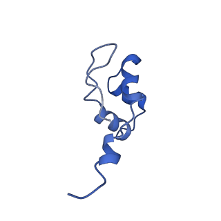 0633_6o6c_H_v1-3
RNA polymerase II elongation complex arrested at a CPD lesion