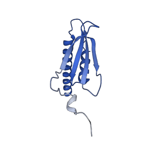 0633_6o6c_I_v1-2
RNA polymerase II elongation complex arrested at a CPD lesion