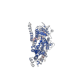 0636_6o6r_B_v1-3
Structure of the TRPM8 cold receptor by single particle electron cryo-microscopy, AMTB-bound state