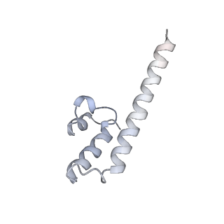 12741_7o6y_8_v1-1
Cryo-EM structure of respiratory complex I under turnover
