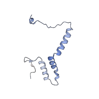 12741_7o6y_9_v1-1
Cryo-EM structure of respiratory complex I under turnover