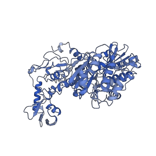 12741_7o6y_A_v1-1
Cryo-EM structure of respiratory complex I under turnover