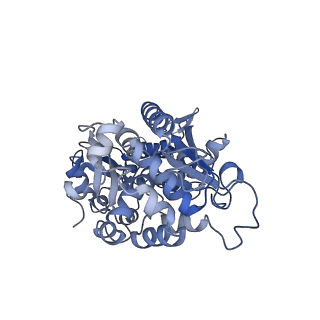 12741_7o6y_B_v1-1
Cryo-EM structure of respiratory complex I under turnover