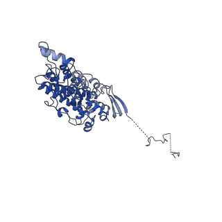12741_7o6y_C_v1-1
Cryo-EM structure of respiratory complex I under turnover
