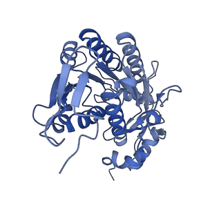12741_7o6y_E_v1-1
Cryo-EM structure of respiratory complex I under turnover