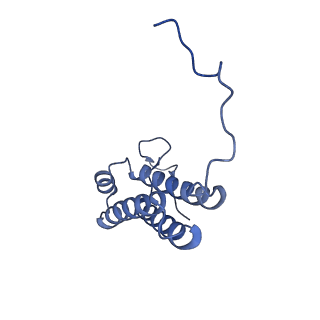 12741_7o6y_F_v1-1
Cryo-EM structure of respiratory complex I under turnover