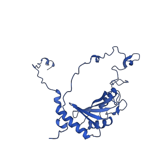 12741_7o6y_G_v1-1
Cryo-EM structure of respiratory complex I under turnover