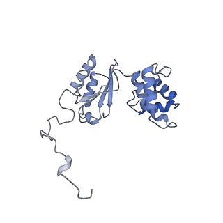 12741_7o6y_H_v1-1
Cryo-EM structure of respiratory complex I under turnover