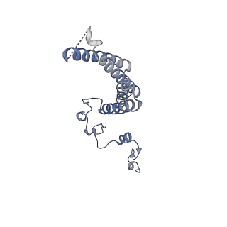 12741_7o6y_J_v1-1
Cryo-EM structure of respiratory complex I under turnover