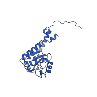12741_7o6y_K_v1-1
Cryo-EM structure of respiratory complex I under turnover