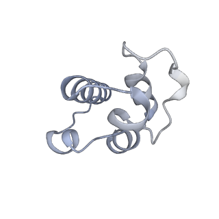12741_7o6y_O_v1-1
Cryo-EM structure of respiratory complex I under turnover