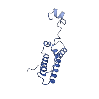 12741_7o6y_P_v1-1
Cryo-EM structure of respiratory complex I under turnover