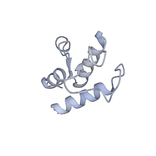 12741_7o6y_Q_v1-1
Cryo-EM structure of respiratory complex I under turnover