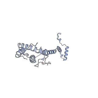 12741_7o6y_S_v1-1
Cryo-EM structure of respiratory complex I under turnover