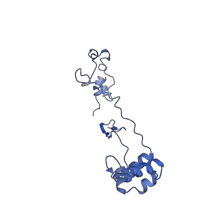12741_7o6y_Z_v1-1
Cryo-EM structure of respiratory complex I under turnover