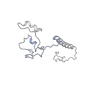 12741_7o6y_a_v1-1
Cryo-EM structure of respiratory complex I under turnover