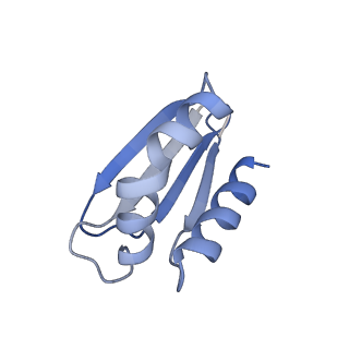 12741_7o6y_f_v1-1
Cryo-EM structure of respiratory complex I under turnover