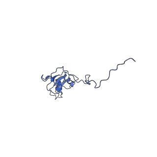 12741_7o6y_h_v1-1
Cryo-EM structure of respiratory complex I under turnover