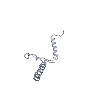 12741_7o6y_i_v1-1
Cryo-EM structure of respiratory complex I under turnover