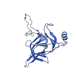 3750_5o60_D_v1-3
Structure of the 50S large ribosomal subunit from Mycobacterium smegmatis