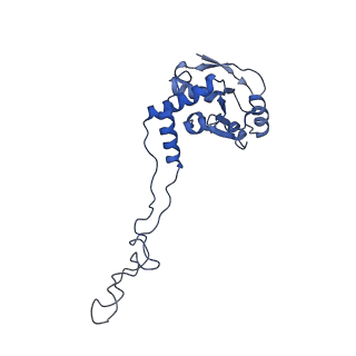 3750_5o60_E_v1-3
Structure of the 50S large ribosomal subunit from Mycobacterium smegmatis