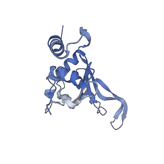 3750_5o60_F_v1-3
Structure of the 50S large ribosomal subunit from Mycobacterium smegmatis