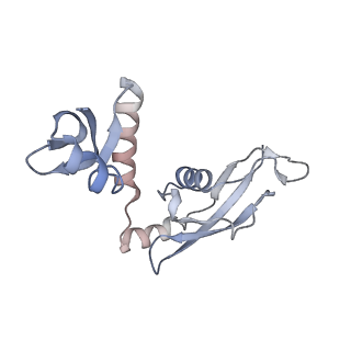 3750_5o60_H_v1-3
Structure of the 50S large ribosomal subunit from Mycobacterium smegmatis
