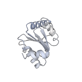 3750_5o60_I_v1-3
Structure of the 50S large ribosomal subunit from Mycobacterium smegmatis