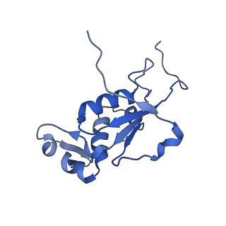 3750_5o60_K_v1-3
Structure of the 50S large ribosomal subunit from Mycobacterium smegmatis