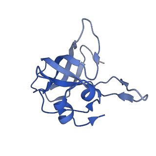 3750_5o60_L_v1-3
Structure of the 50S large ribosomal subunit from Mycobacterium smegmatis