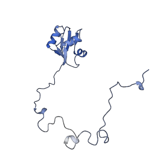 3750_5o60_M_v1-3
Structure of the 50S large ribosomal subunit from Mycobacterium smegmatis