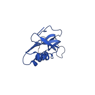 3750_5o60_N_v1-3
Structure of the 50S large ribosomal subunit from Mycobacterium smegmatis