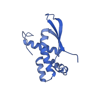 3750_5o60_O_v1-3
Structure of the 50S large ribosomal subunit from Mycobacterium smegmatis