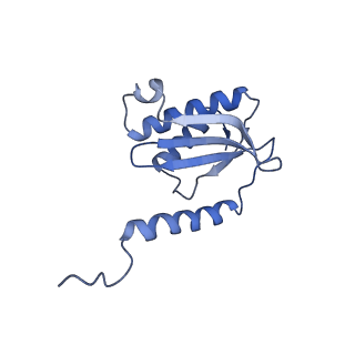 3750_5o60_P_v1-3
Structure of the 50S large ribosomal subunit from Mycobacterium smegmatis