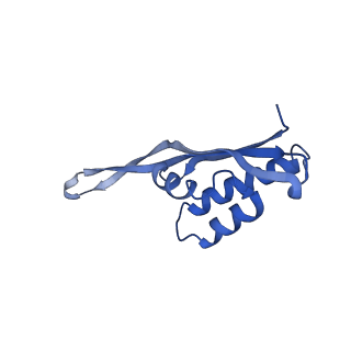 3750_5o60_T_v1-3
Structure of the 50S large ribosomal subunit from Mycobacterium smegmatis