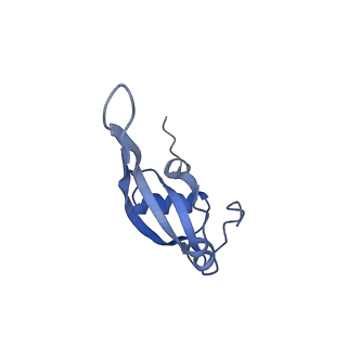 3750_5o60_U_v1-3
Structure of the 50S large ribosomal subunit from Mycobacterium smegmatis