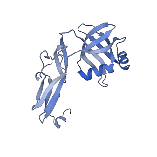 3750_5o60_W_v1-3
Structure of the 50S large ribosomal subunit from Mycobacterium smegmatis